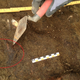 Illustration for article titled An 8,000 Year-old Skull Has Been Found With Preserved Brain Matter